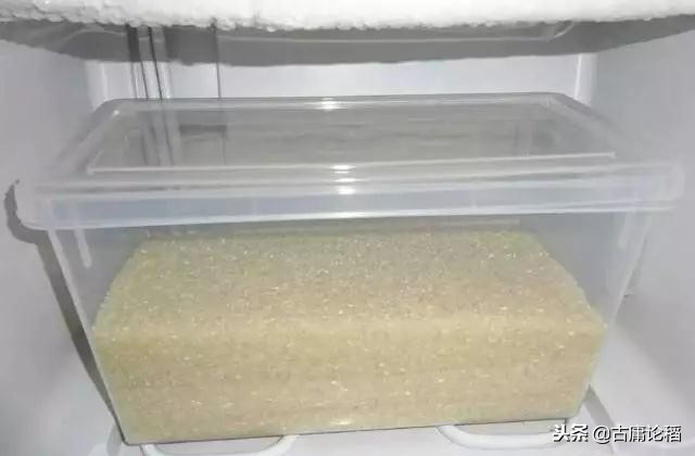 米和面里黑色的虫子是什么,你见过米里面黑色的小虫吗