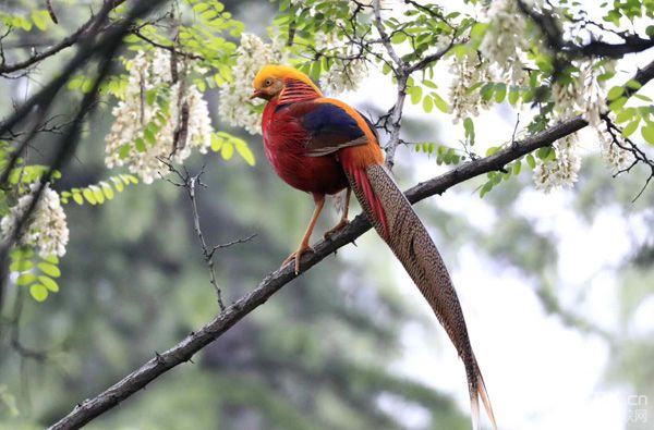 三门峡甘山森林公园攻略图片,三门峡甘山森林公园晚上