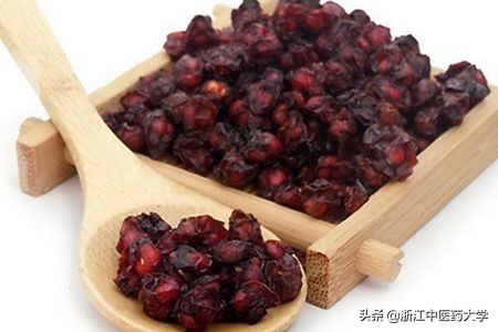 每天一粒五味子,每日一次的药