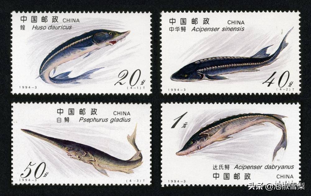 1994昭君出塞邮票,1994年黄埔军校邮票多少钱一张