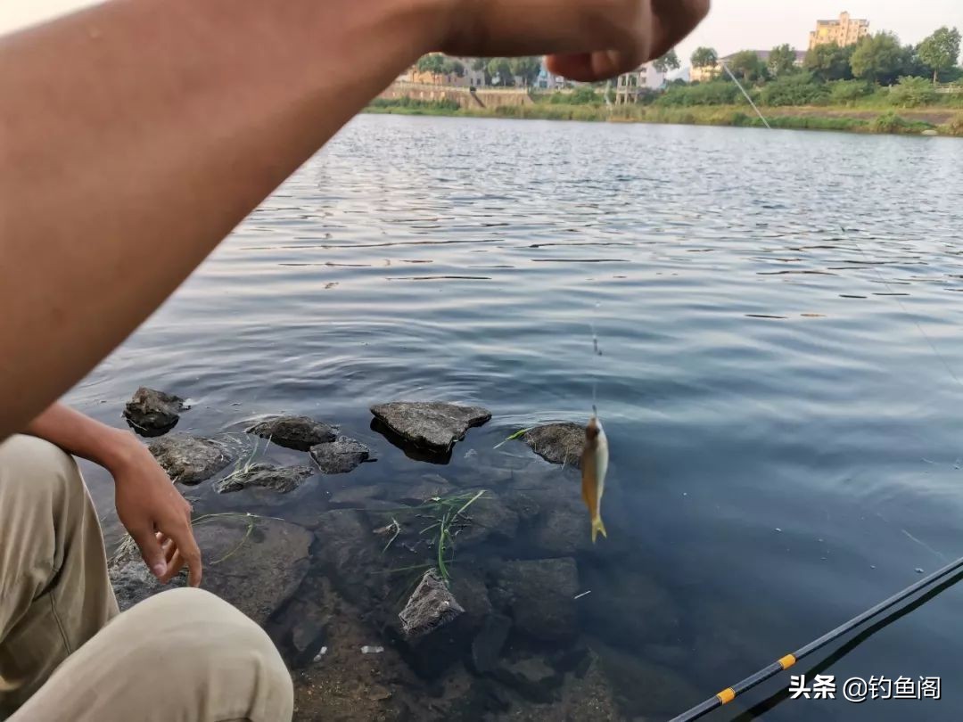 大风大浪怎么钓鱼钓浅水还是深水,有水浪用什么方法钓鱼