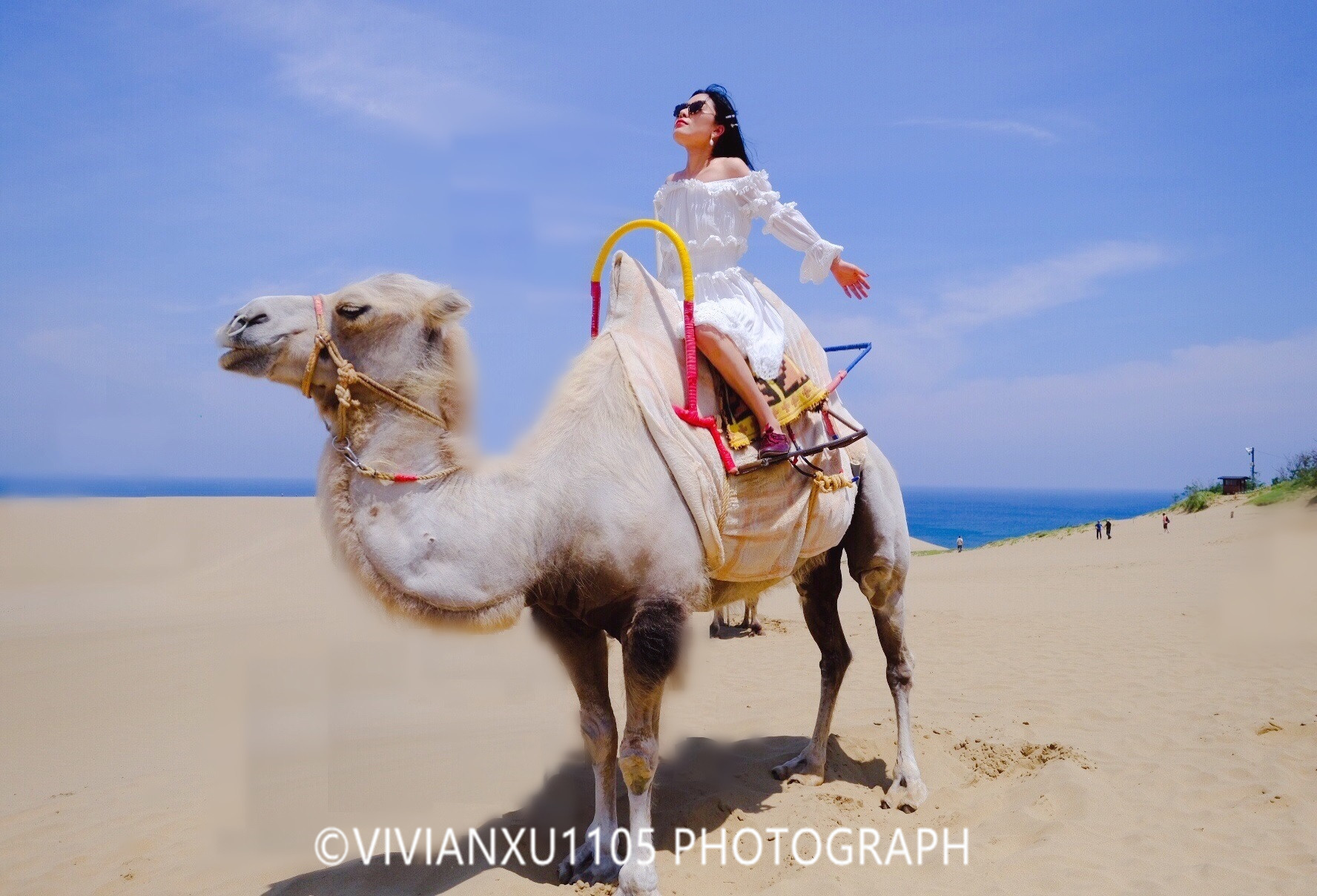 冈山和岛根,发现不一样的风景