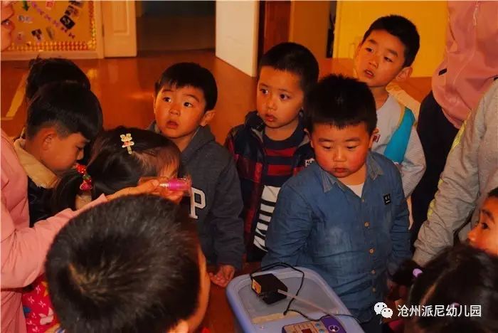 生命教育孵蛋,生命教育课程孵小鸡