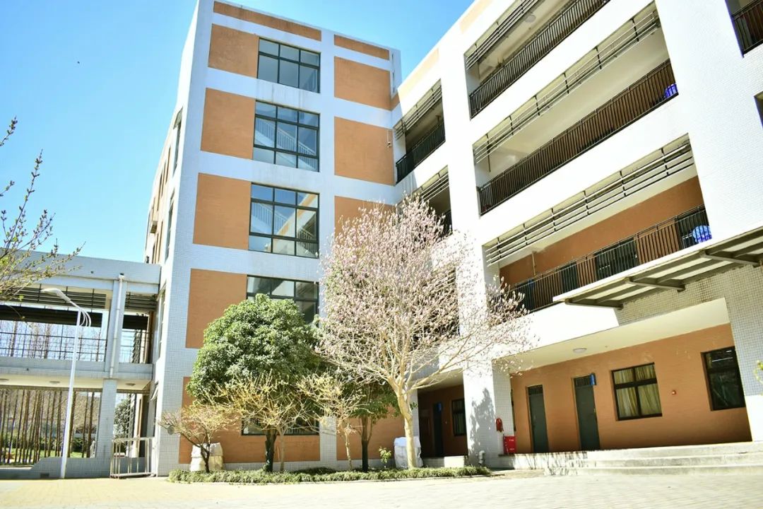 郑州实力最强高中TOP25!家长们建议收藏