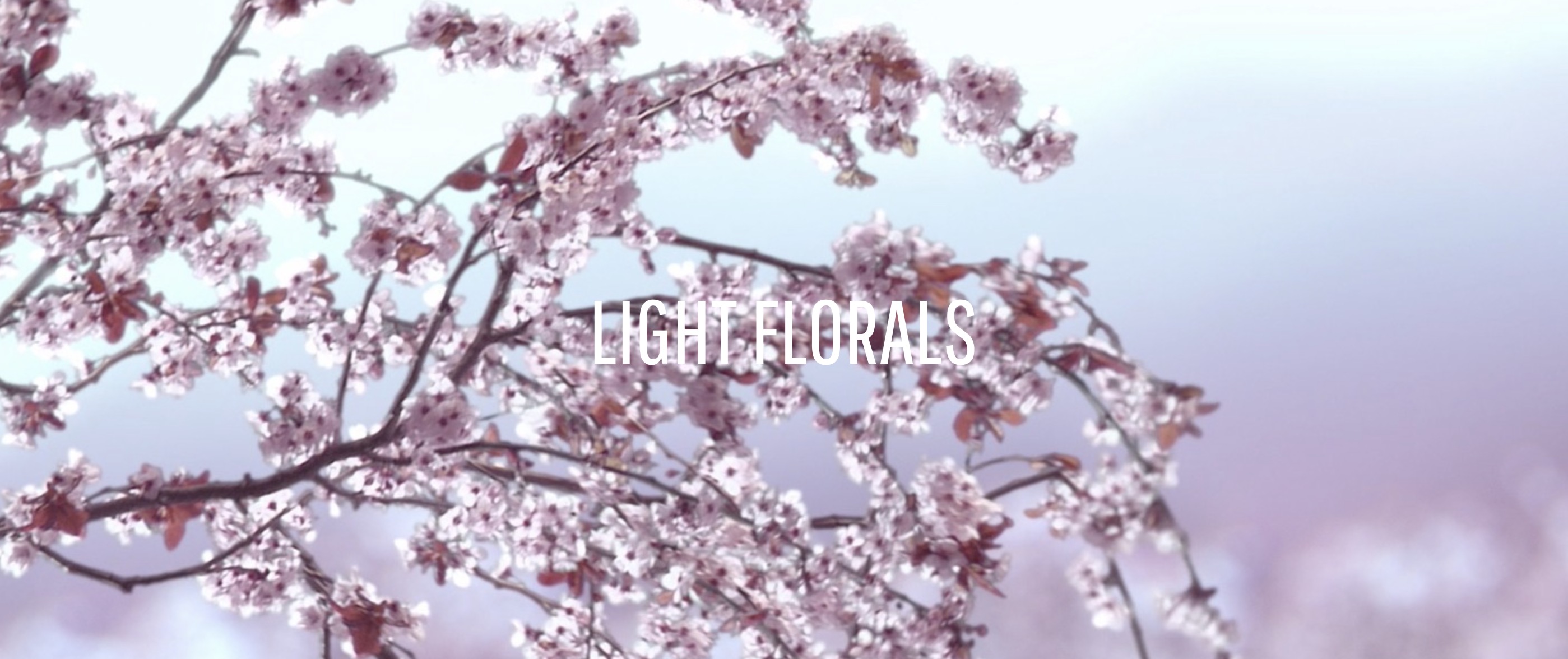 dior迷你香水香氛世家,迪奥香氛世家小样