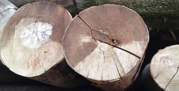 瑞士地板品牌卢森价格,瑞士卢森地板推荐