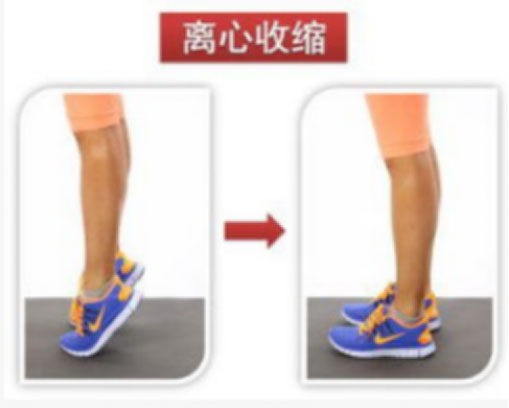 运动员腰和腿都受伤,运动员骨头受伤