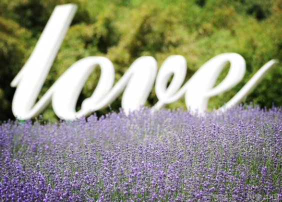 嫁到异国他乡的心酸,90后远嫁的姑娘你们过得还好吗