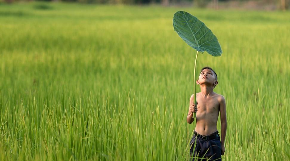 泰国旅游攻略6天5夜带小孩,泰国旅游攻略十天自由行