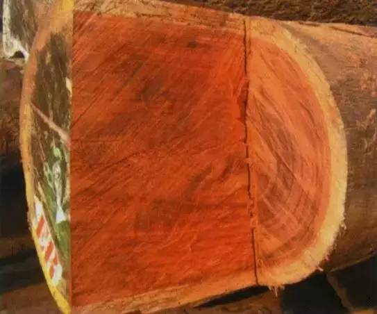 32种最硬的木材,家具木材硬度排行