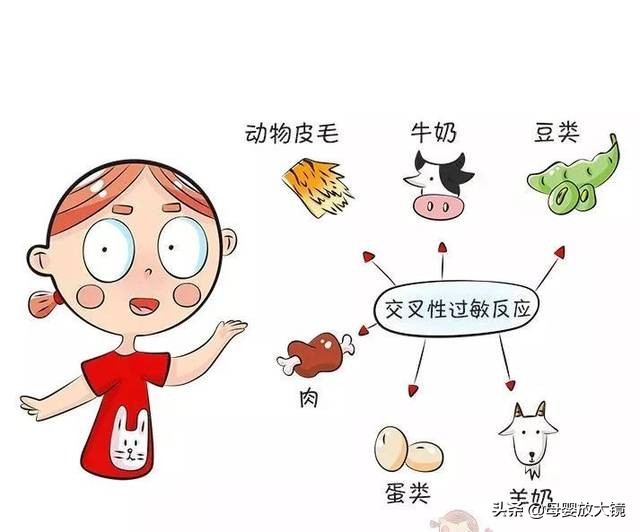 羊奶粉容易导致宝宝过敏吗,牛奶蛋白过敏宝宝适合哪种羊奶粉