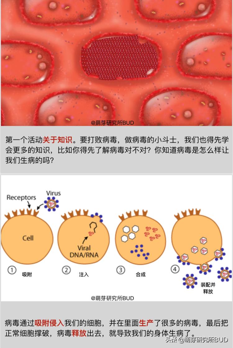 一本简明有趣的科普小书,儿童科普小说推荐