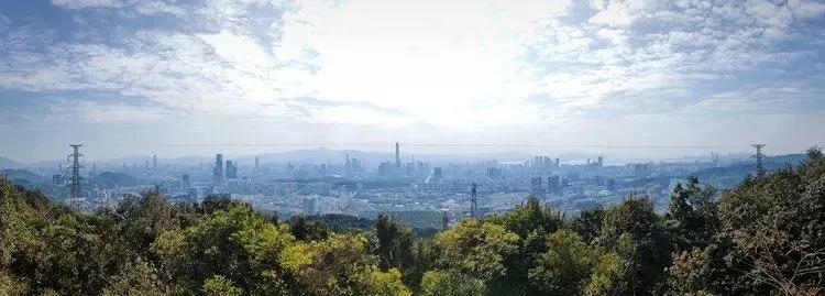 深圳原始登山道视频,深圳首个手工木栈道