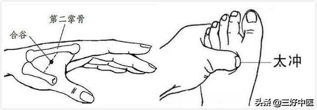 奇穴治百病正穴通全身,奇穴的位置和功效图