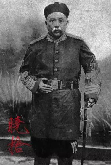 甲午战争时的中国陆军,甲午战争后日本海军购买军舰