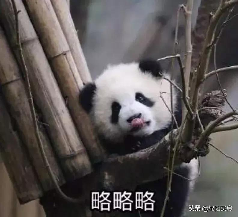 绵阳恒大接房 (绵阳恒大看房团)