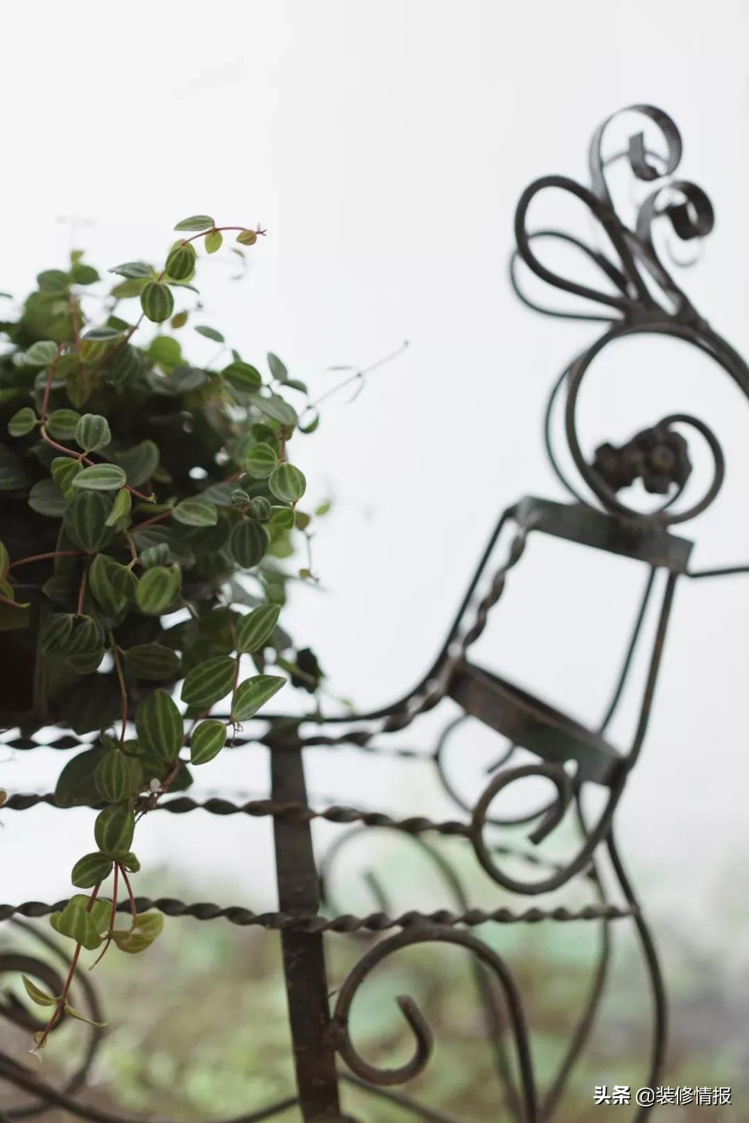 她买下32㎡上海老旧学区房,为女儿打造小桃园还有20㎡舒适大庭院