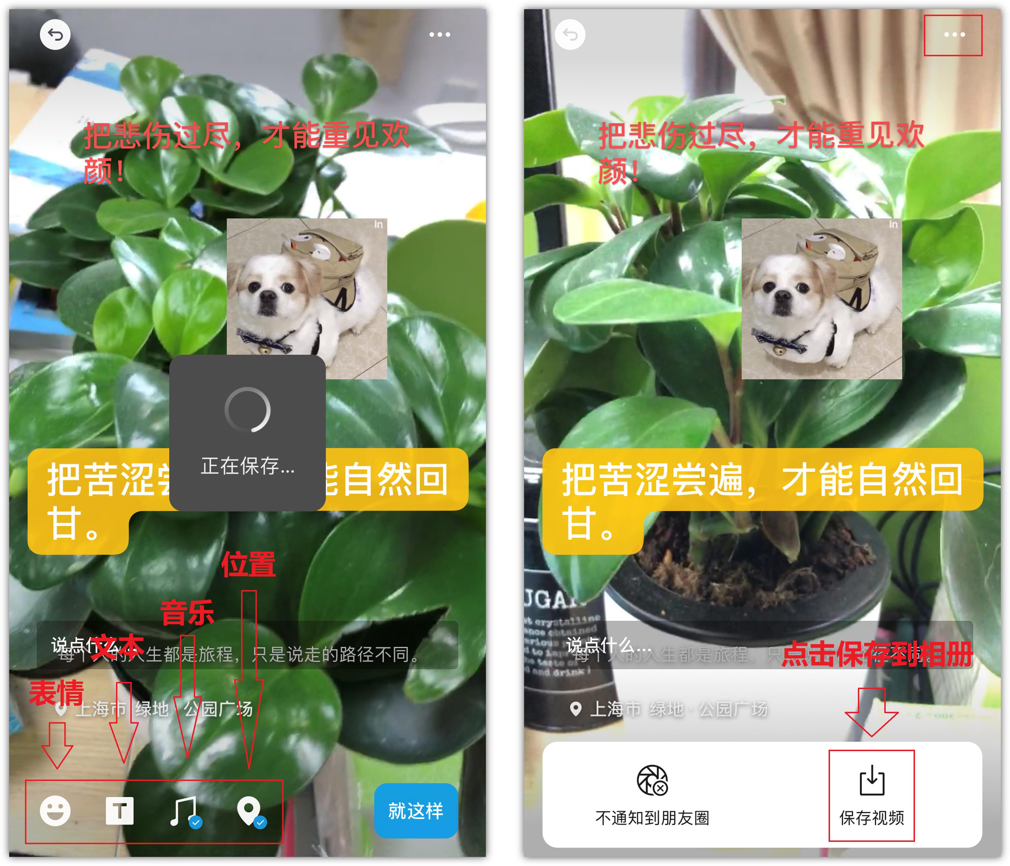 今天才知道手机拍视频能添加字幕,微信拍视频还能剪辑添加字幕