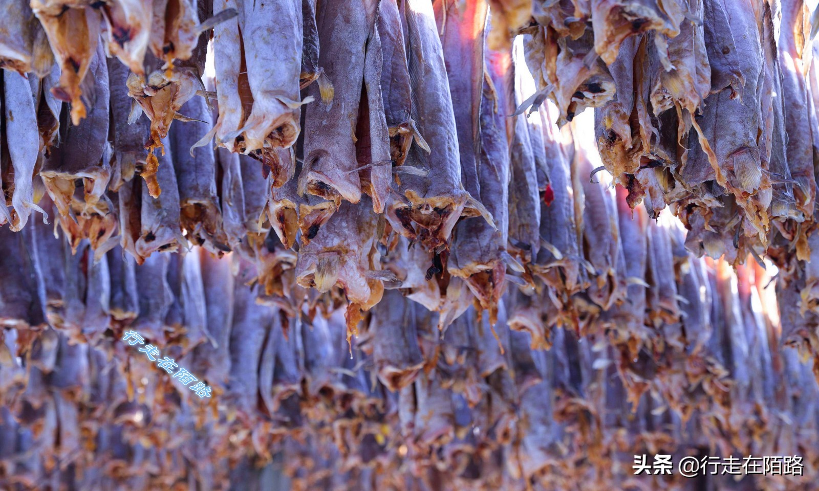 砸锅卖铁上一句,砸锅卖铁也要供你上学的励志语录