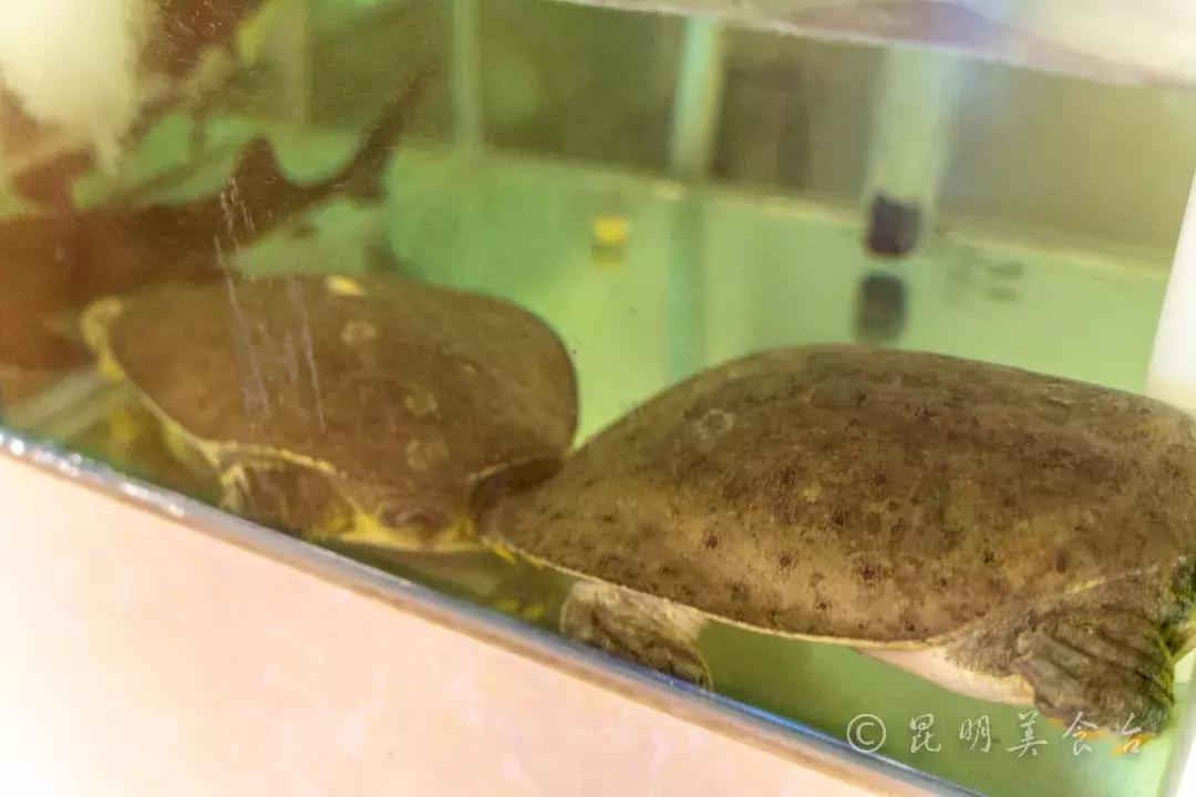 昆明超大餐厅宴会,昆明超大餐厅