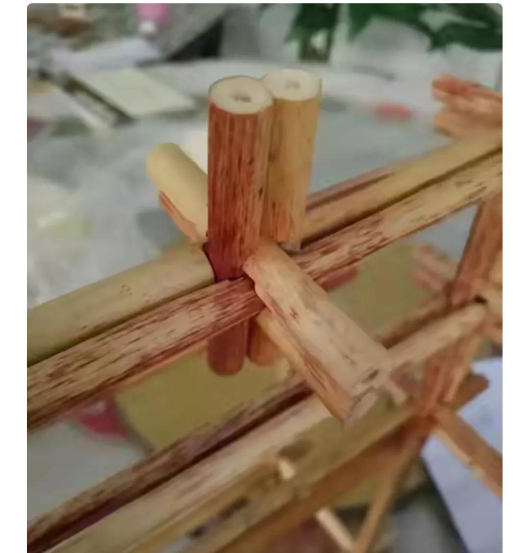 你认识野菜吗图片,你认识田间的草吗