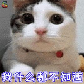 猫藓怎么防止猫去抓,猫癣怎么才能治好