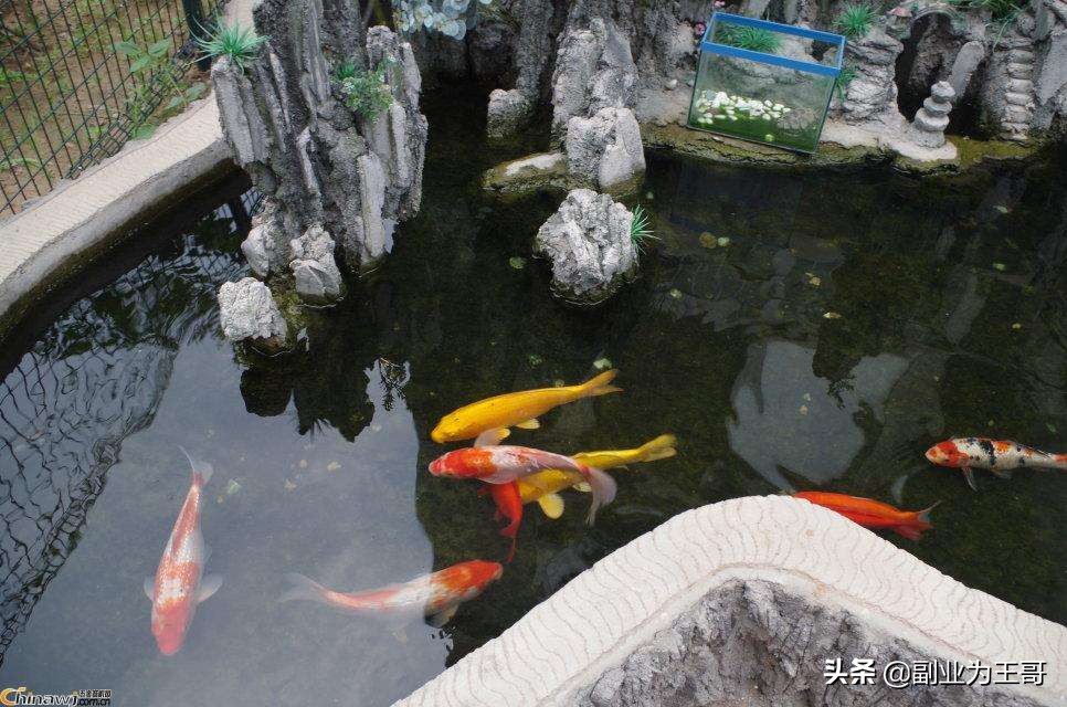 做微商真的赚钱吗,做微商亏不亏