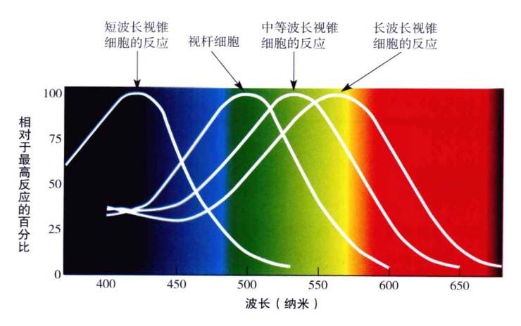 心理学的生物学基础知识,生物心理学知识书籍
