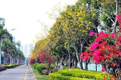 去厦门吹海风,来去厦门观光享受清凉的海风