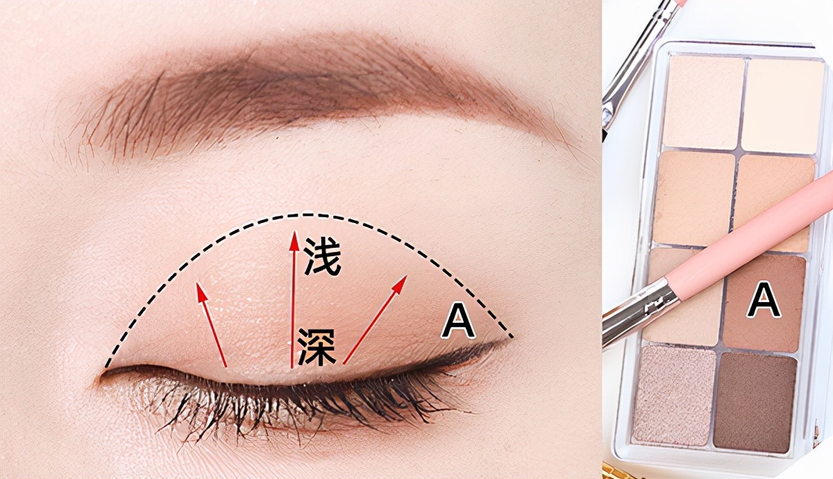 新手眼妆入门教程无工具,眼妆的正确画法和步骤