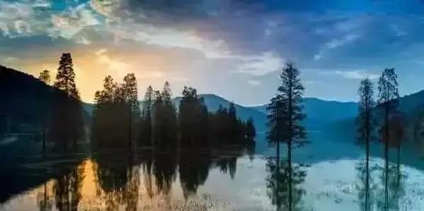 宁波踏青免费好去处,宁波踏青赏花最佳地