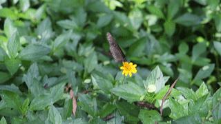 深圳看海去哪里比较好,深圳出地铁就看海的地方是哪里