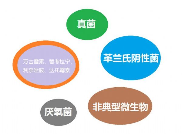 看图“话”抗菌谱，赶紧收藏