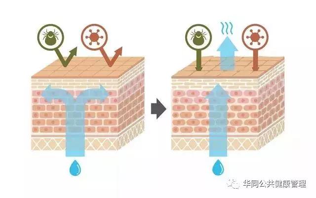 停手！身体这些地方，太爱“干净”反而易生病！看看你有没中招？