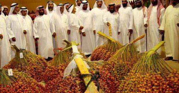 迪拜土豪零食大全,迪拜的零食