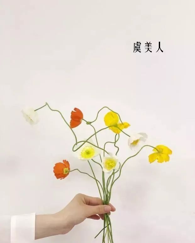 花店里同款的两种不同价格的花材,花店最容易被顾客误解的几种花材