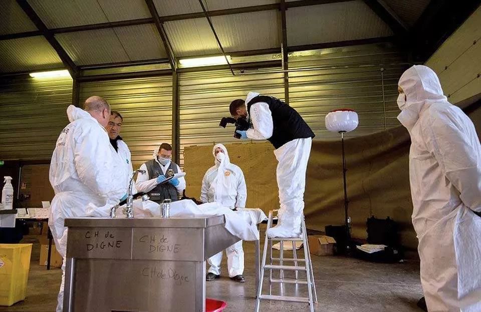 成功处理尸体,专业人士处理尸体