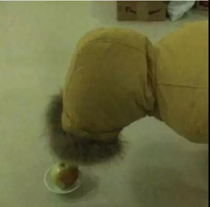 笑得肚子疼买家秀,奇葩买家秀把店主都气笑了