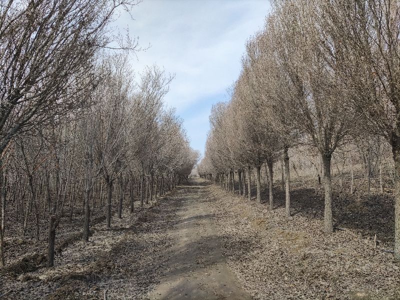 乌鲁木齐免费玩的地方运动场地,乌鲁木齐游玩适合烧烤的地方
