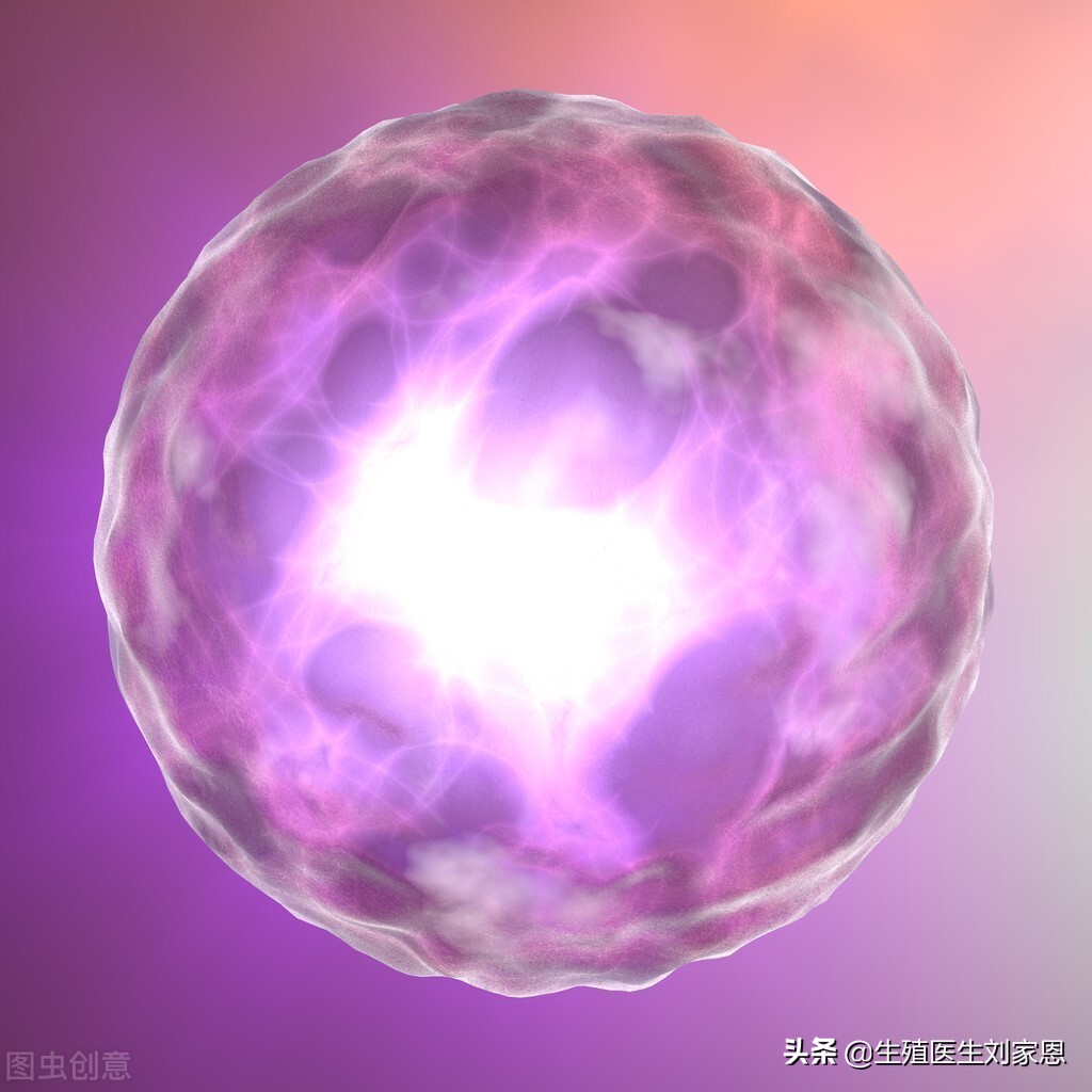 只有两个卵泡试管成功率高吗,总共才5个窦卵泡试管成功率高吗