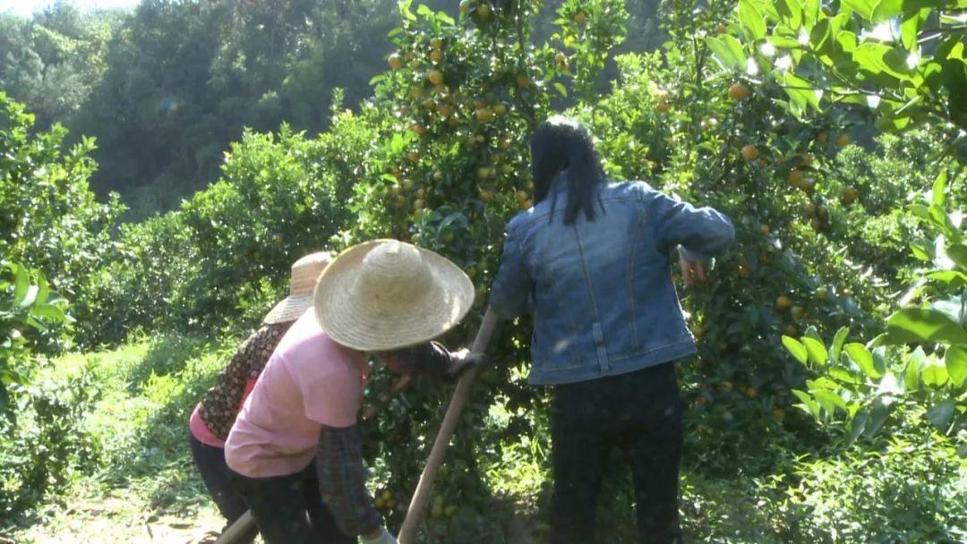 2022鑲囧簡鍦嗘ⅵ璁″垝,鑲囧簡鍦嗘ⅵ璁″垝