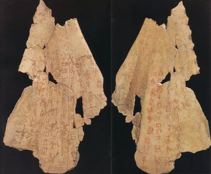 国外牛身上为什么要开洞,牛肚子上开洞放气牛不感染吗