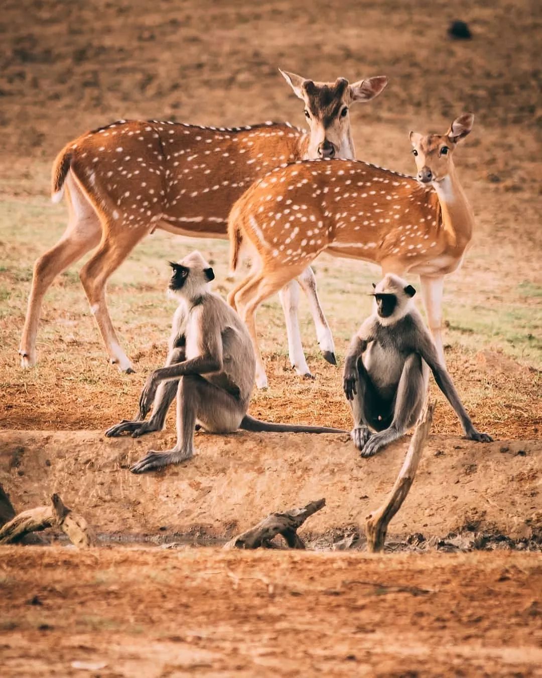 现在哪个国家免签证费,推荐几个消费超低免签的几个国家