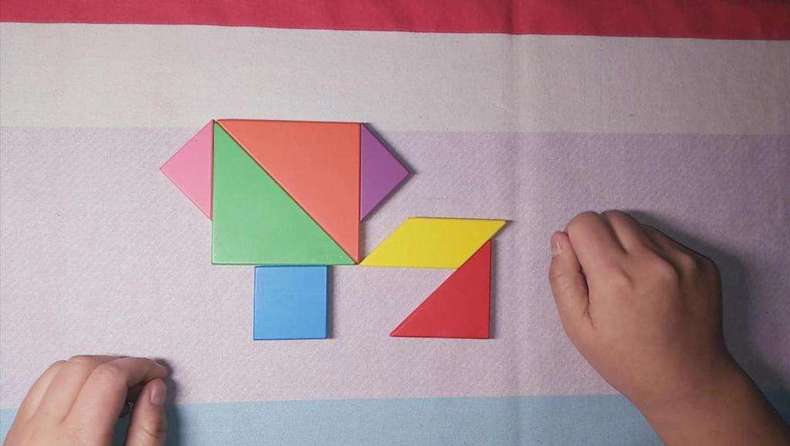 婴幼儿玩具探秘第九期:暗藏智慧的七巧板