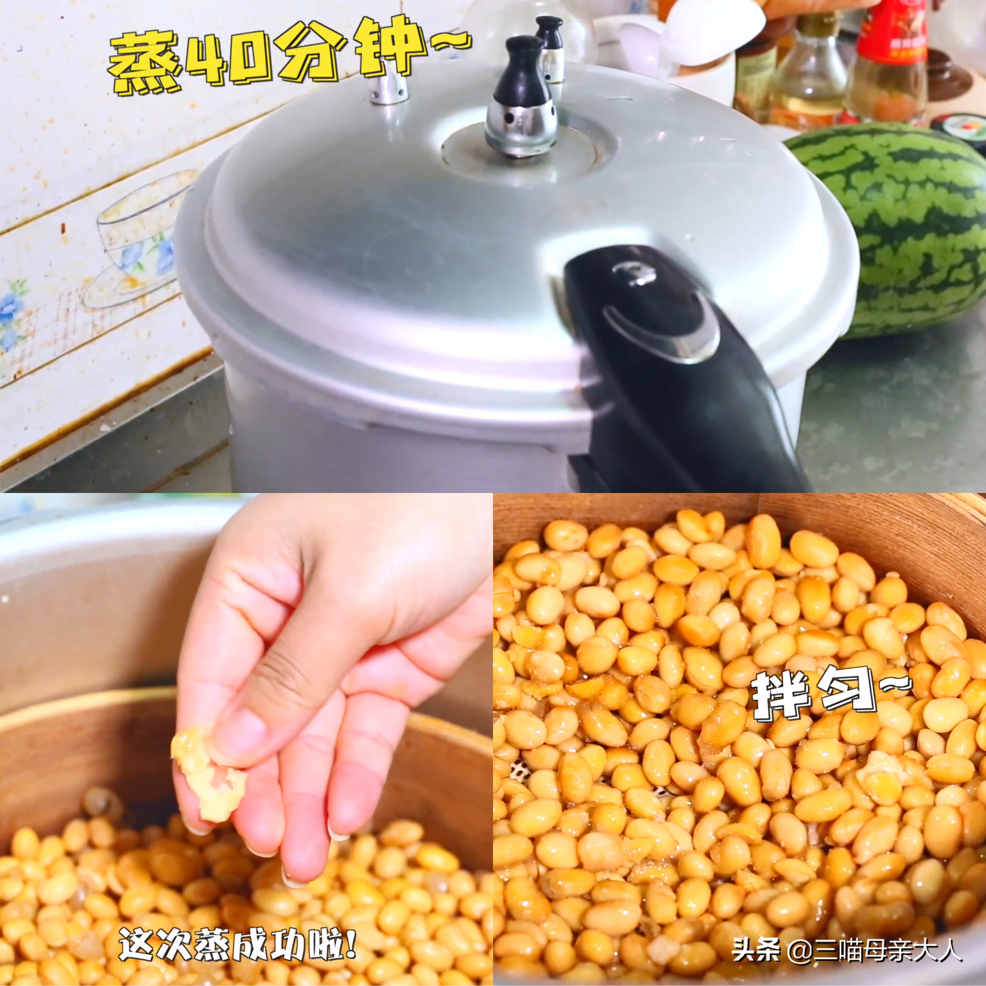 如何用酸奶机做纳豆,怎么用酸奶机自制纳豆