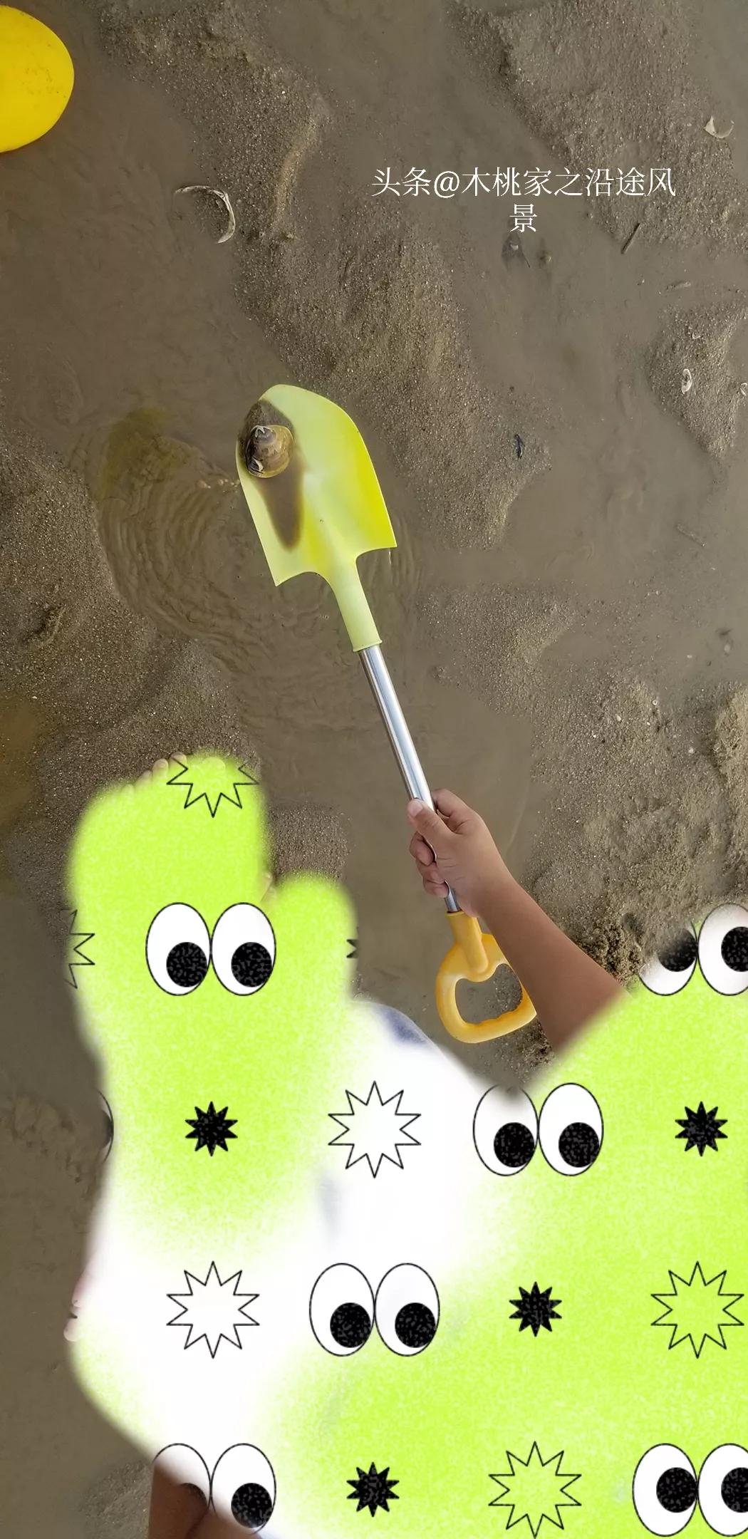 广东沙滩赶海去哪里,阳江东平镇沙滩赶海攻略