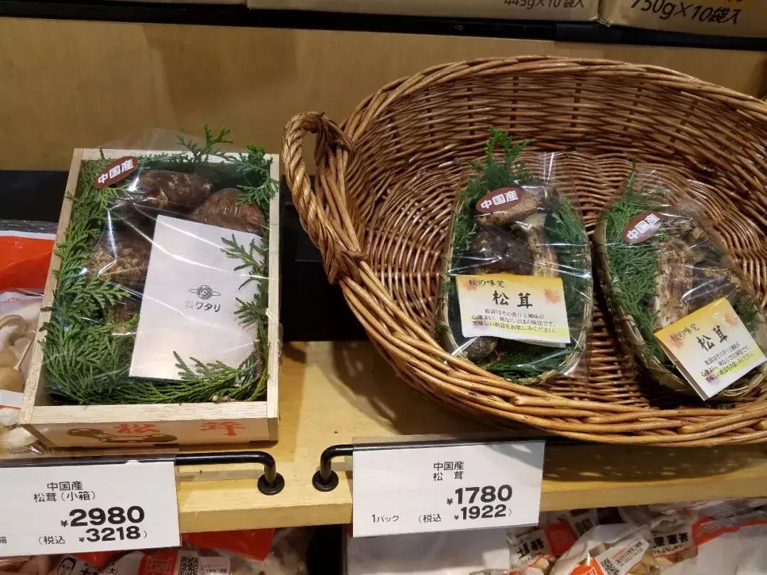 日本精致的日常生活 (日本的精致日常生活)