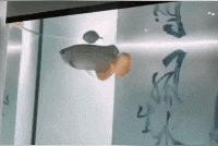 捡到了u盘里面会有什么,捡到一个u盘还好没有用