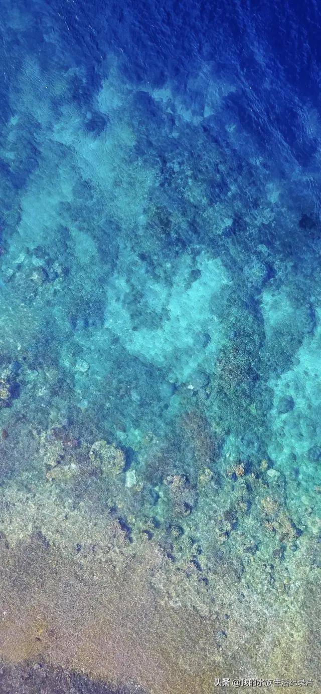 超高清海洋沙滩风景壁纸全屏,壁纸分享特别的海洋壁纸