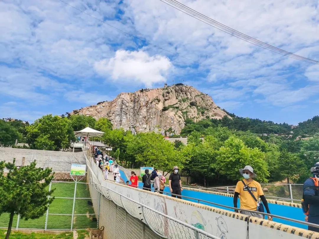 这是我的家乡全域旅游看荣成,全域旅游重点看什么